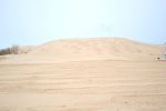 Views of Silver Lake Sand Dunes 